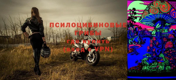МДПВ Аркадак