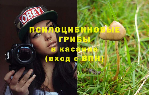 твердый Армянск